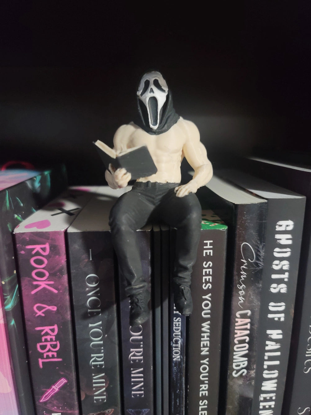 NEW IN: BOOK BOYFRIENDS 🥵📚