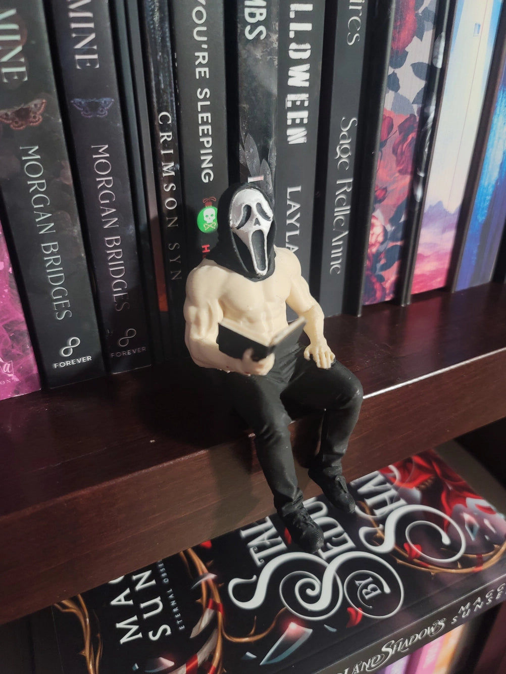 NEW IN: BOOK BOYFRIENDS 🥵📚