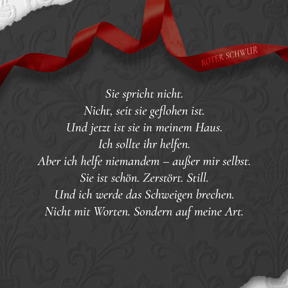 Don’t Speak Special Edition Klappenbroschur | Dark Romance